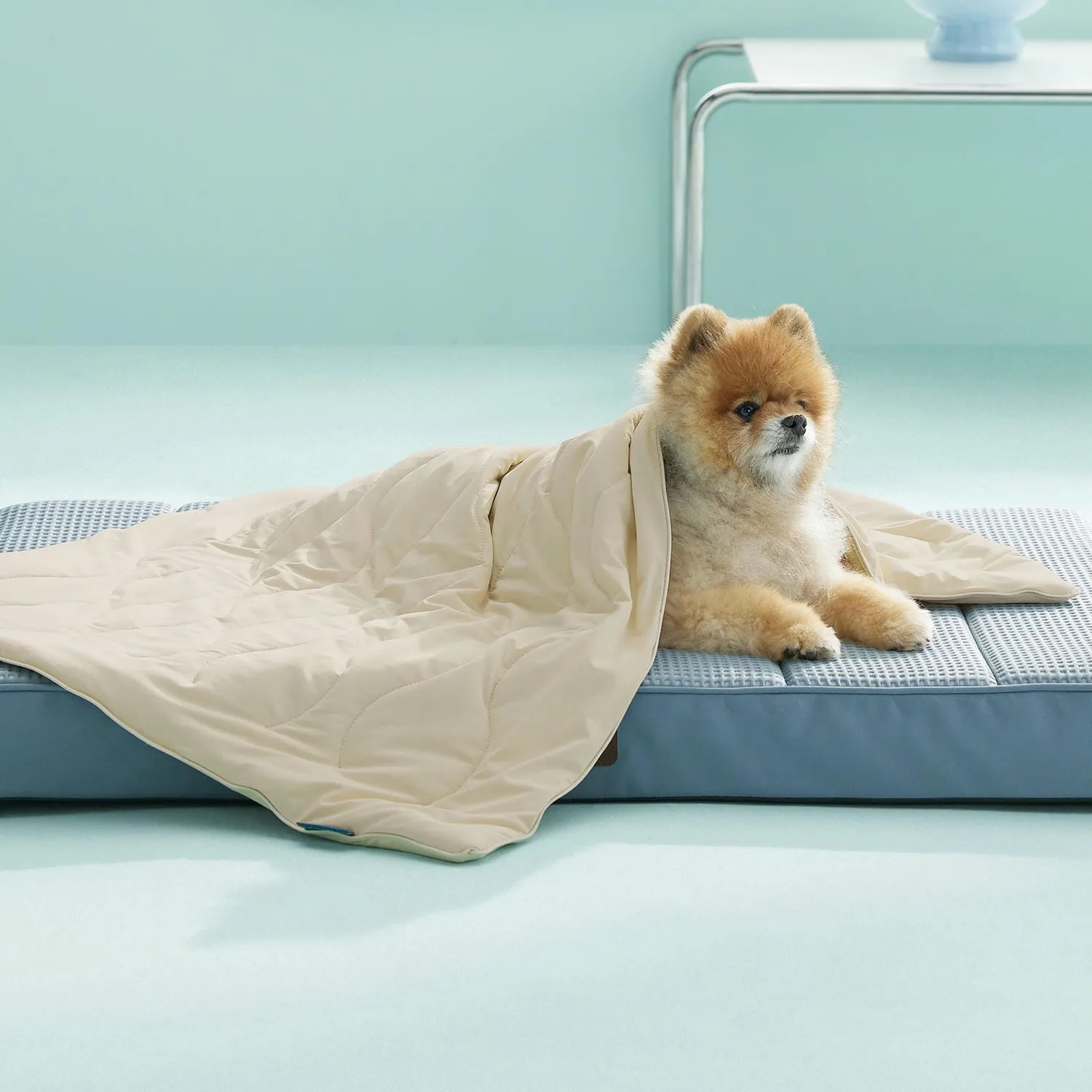 Bedsure Coperta Rinfrescante per Animali Fresca