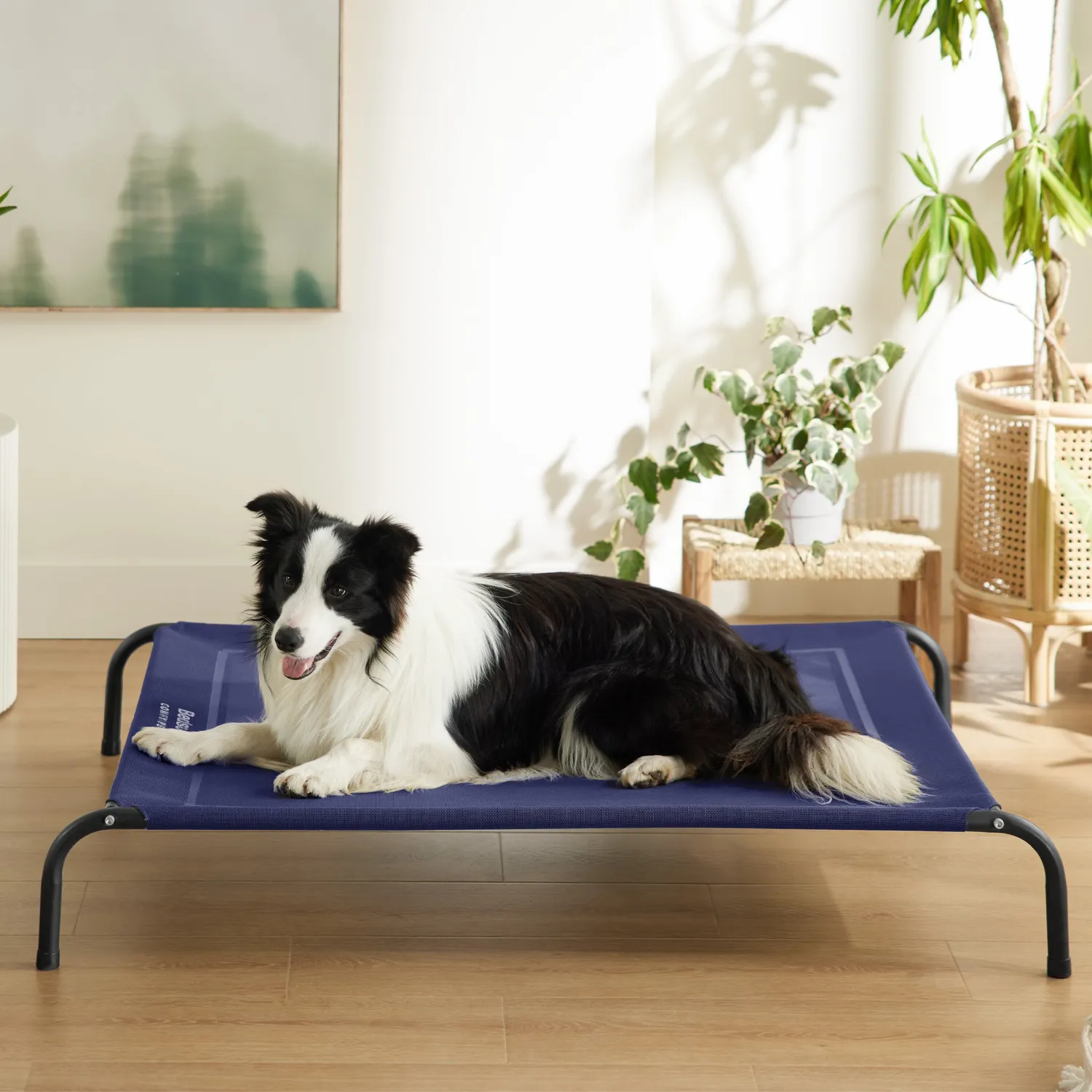 Bedsure Comfy Pet Elevated Dog Bed cuccia per cani