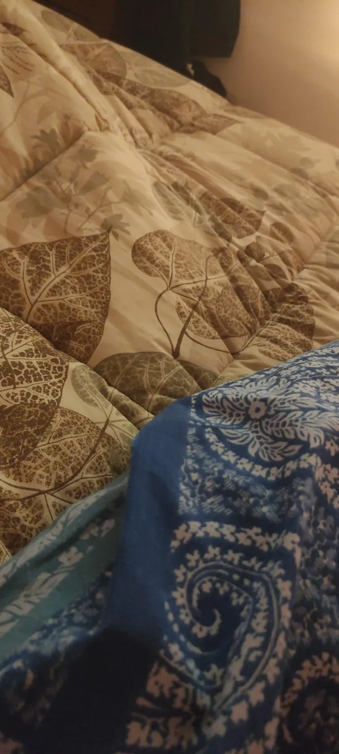 Caleffi Betulla Floreale Trapunta Matrimoniale Naturale Cotone Calda