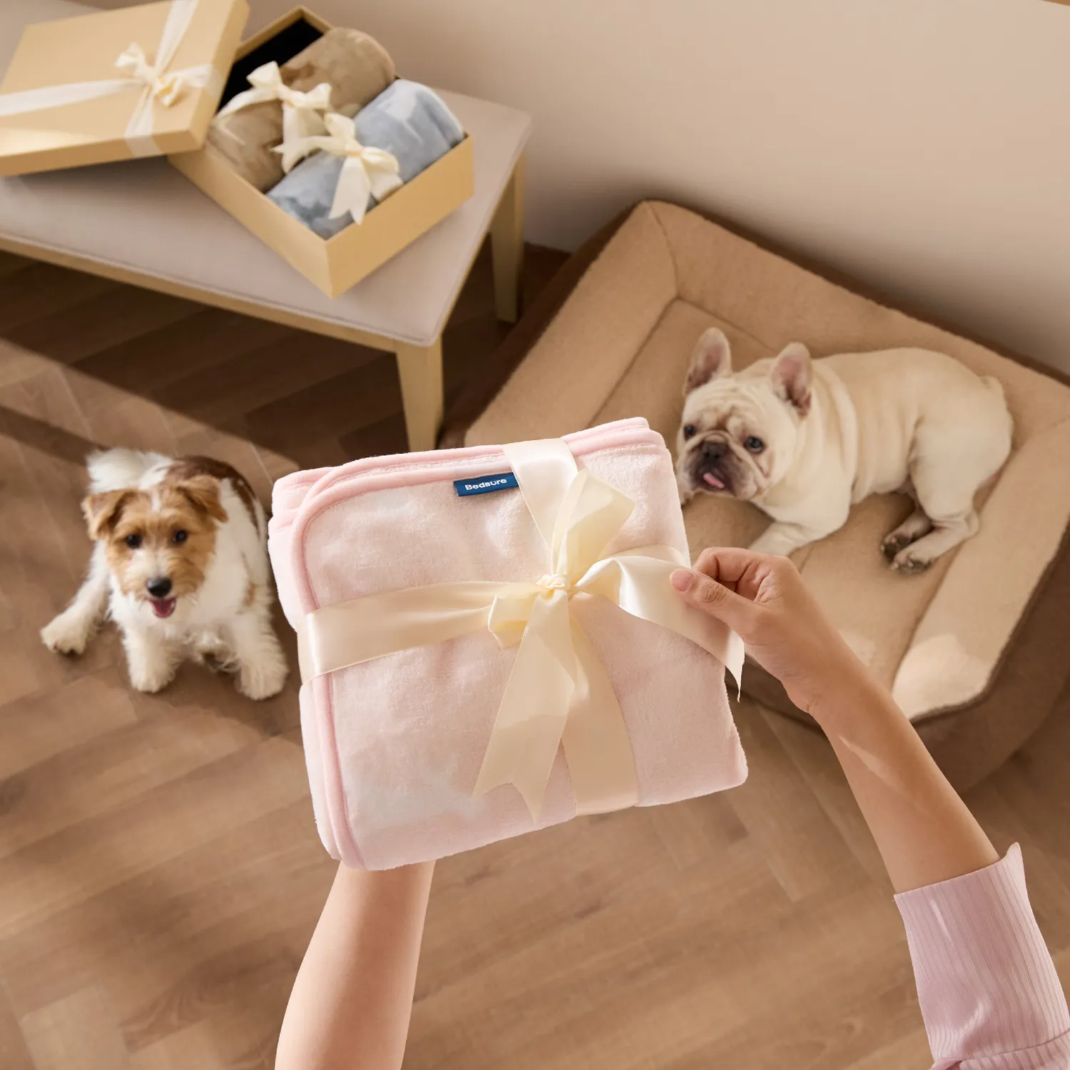 Bedsure Comfy Pet Set 3 Coperte in flanella
