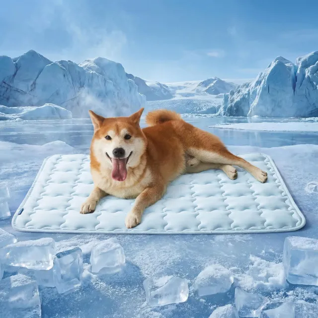 Bedsure tappetino refrigerante per cani