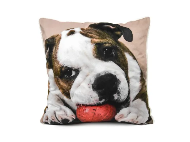 Daunex Stampa Digitale Light plaid