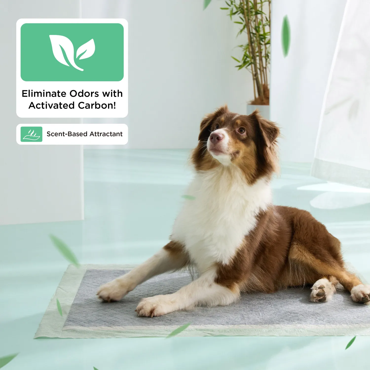 Bedsure Traverse Cane Assorbenti Bambù