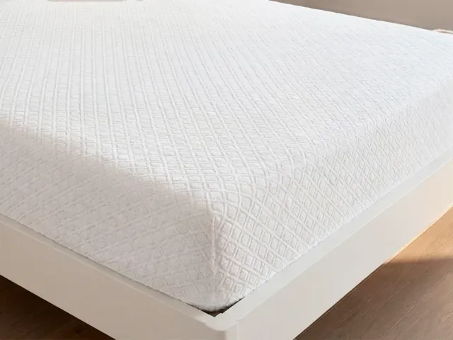 Daunex Sanaform coprimaterasso in spugna con angoli