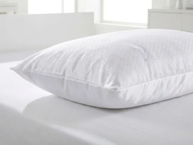 Daunex Fresh Federa con Zip