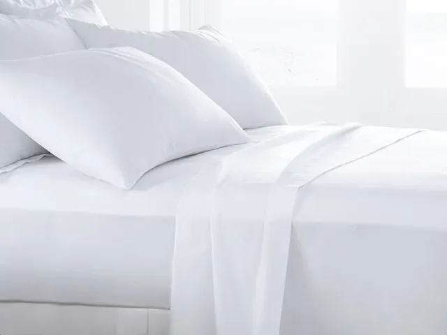 Daunex Basic coppia di federe