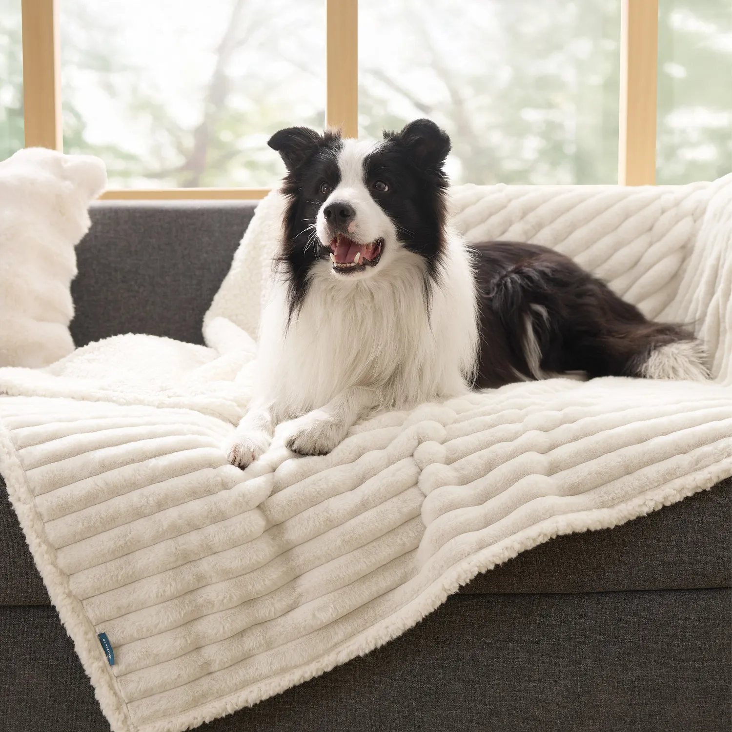 Bedsure ComfyFleece Coperta Animali Impermeabile