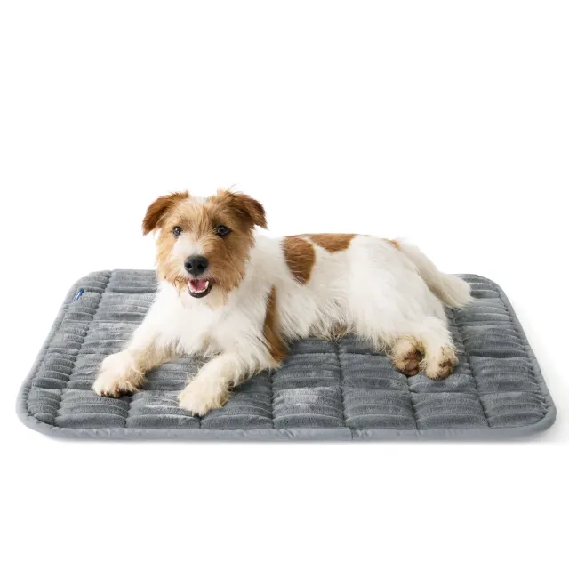 Bedsure ComfyFleece materassino cane leggero