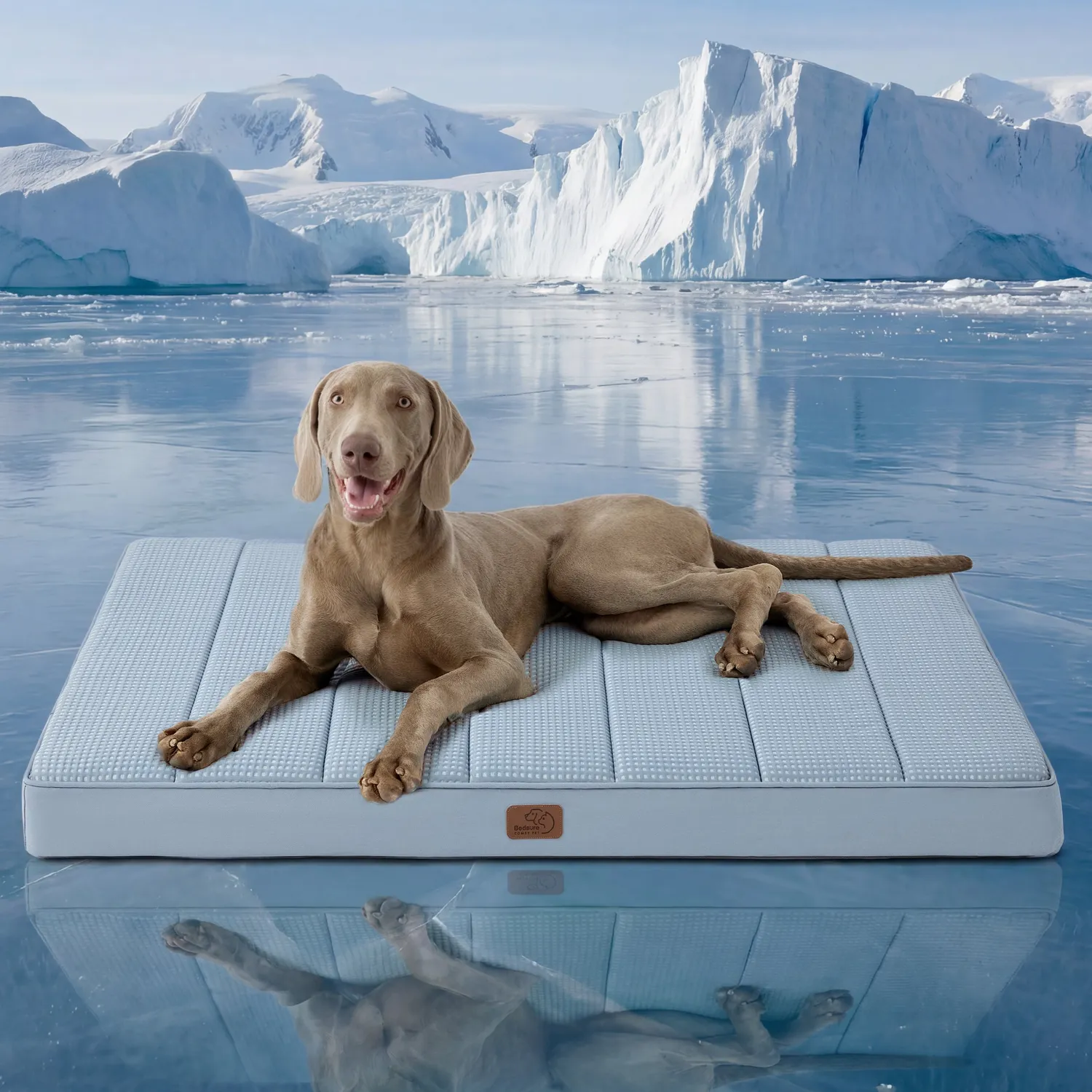 Bedsure Orthopedic Cooling Dog Bed cuccia refrigerante ortopedica
